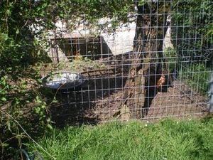 depart-luberon-002.JPG