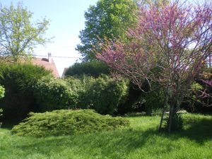 depart-luberon-004.JPG