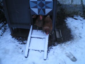 neige-009.JPG