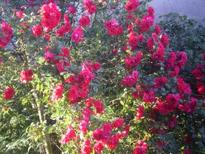 avancees-002.JPG
