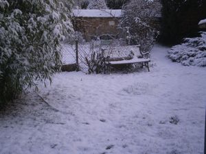 surprises-009.JPG