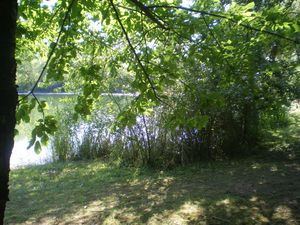 etang-008.JPG