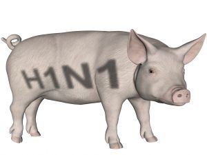 grippe-a-h5n1