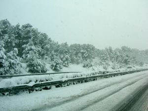PICT0243.JPG