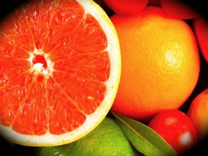 fruit1600 6013-460d21