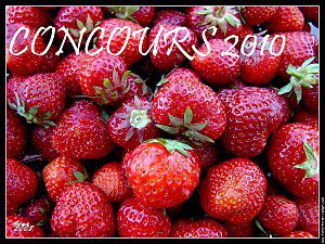 Concours-fraises-2010.jpg