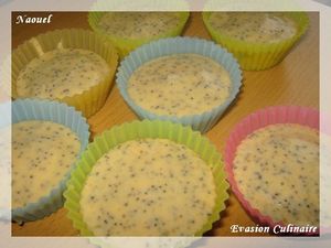 muffin12