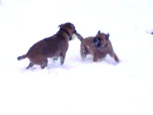 2 - Sandy et Emmy dans la neige