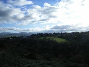 RIMG0005-copie-1
