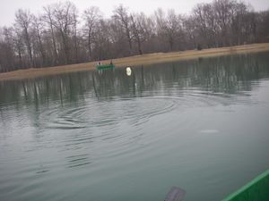 IMGP3376