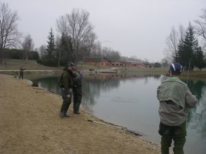 IMGP3378