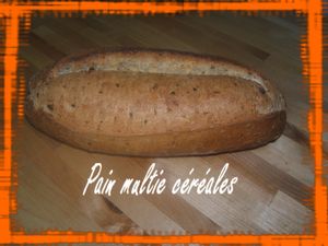 Pain multie 1