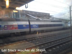 TGV07022013e.jpg
