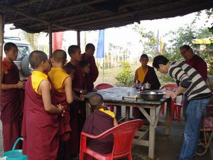 Dentiste and group of lama (2)