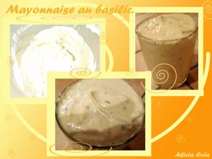 Mayo copie