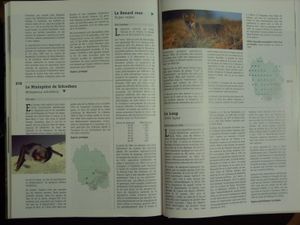 P1000087