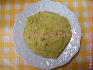 100_1484-copie-1.JPG