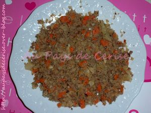 poelee-choux--carottes-et-viande-hachee.JPG