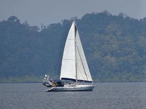 DSC03465