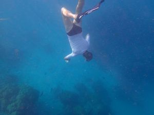 Didoune plonge sous l'eau