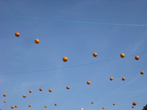 Fête de l'orange 2012