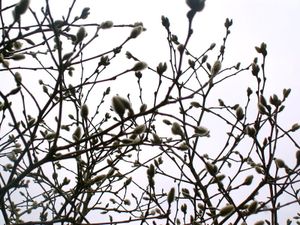 PICT0149.JPG