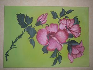 HIBISCUS