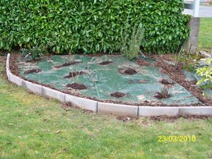100_1384-copie-1.JPG