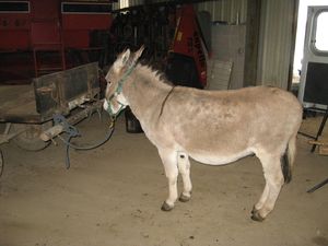 null IMG 6124