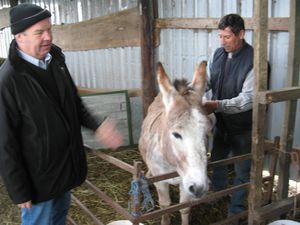 IMG_6291.JPG