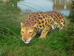 ANIMAUX-EXOTIQUE-EN-RESINE.JPG