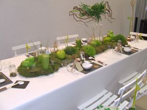 Table-ecolo-2.jpg