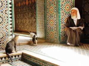 fes-morocco-maroc-old-man-with-cats-veil-homme-ave-copie-1.jpg