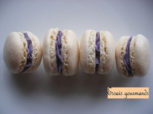 Macarons violette (2)-copie-1