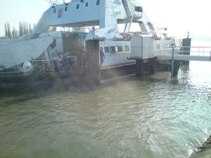 photo.JPG