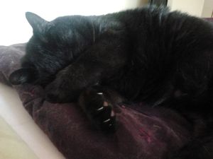 2013-06-22-16.07.22.jpg