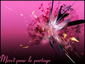 Merci pour le partage01