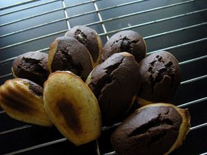 Madeleines-Marbrees03.JPG