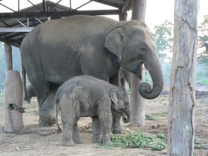 NEPAL2012-030