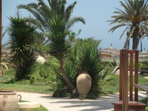 Vacances à Zarzis juillet 2011 167