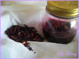 Extrait hydroglycériné d'hibiscus