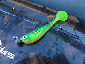 Fury shad-c