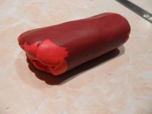 cane feuille rouge 4