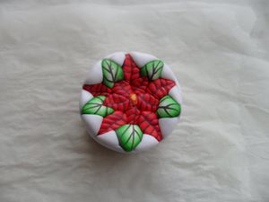 cane-poinsettia-5.JPG