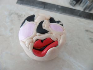 cane-visage-3.JPG
