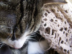 100_2271.JPG