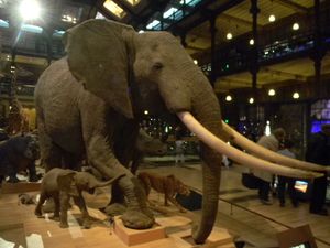 que visiter a paris avec un enfant