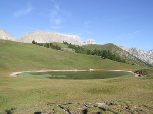 lac