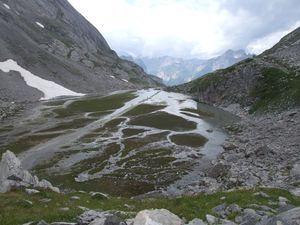 lac1