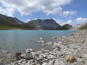 lac4